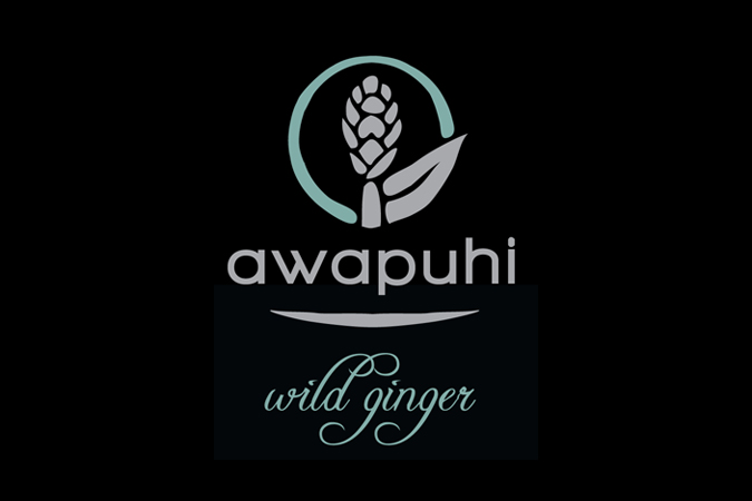 Awapuhi Wild Ginger Photo
