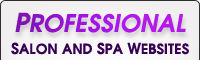 Professional Salon Websites and Spa Websites