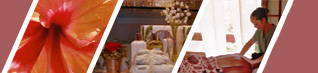 Beauty Salon, Hair Salon, Nail Salon, Barbershop, Day Spa, Massage Center