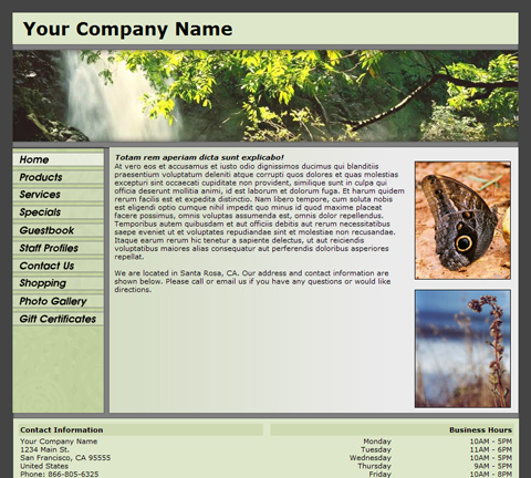 Standard Panoramic Green Website Design (123)