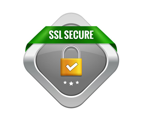 SSL Secure Certificate icon
