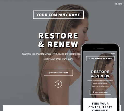 Chrome Restore Website Design (813)