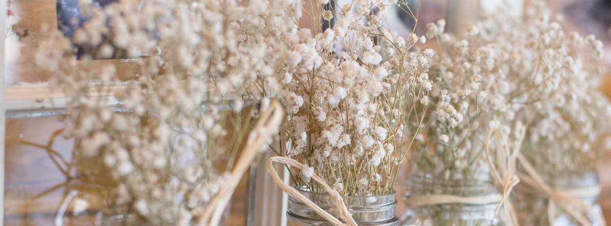 background photo for Rooted Valley Hair Company