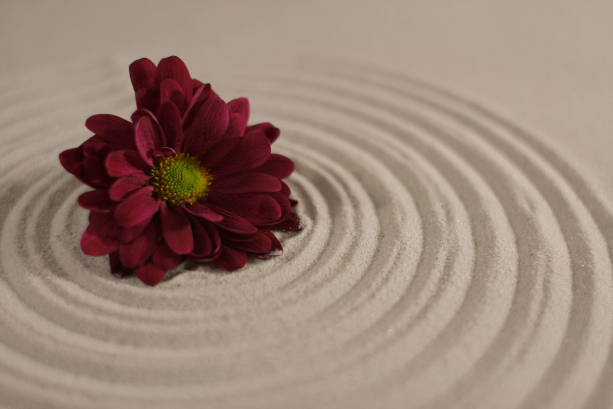 background photo for REDHOUSE SALON 