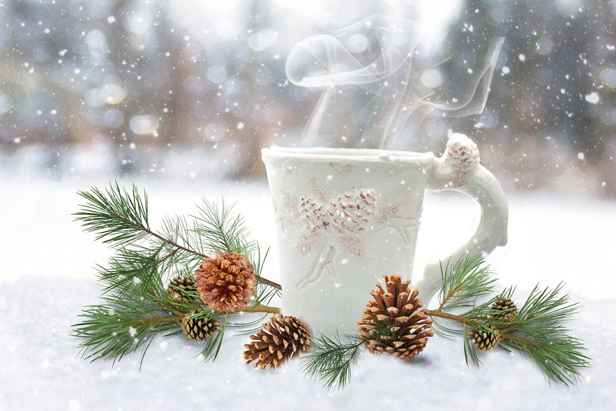 shimmer salon and day spa salon and spa gift certificates and gift