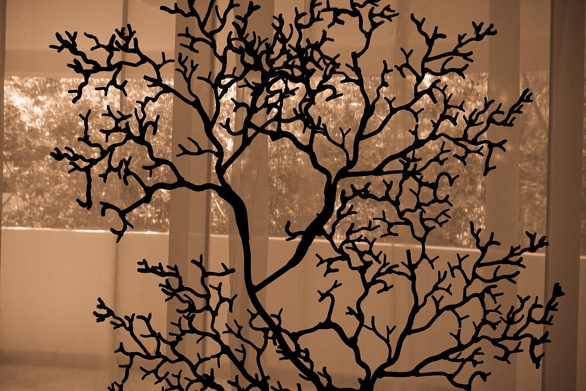 background photo for Kreative Kuts