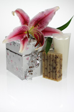 Spring Special Photo