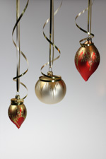 Holiday Special Photo