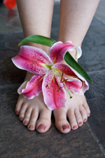 New & Current Clients Discount Photo