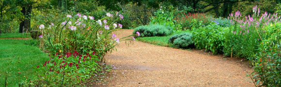background photo for Shear Images