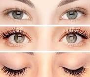 Lash Tinting Available Photo